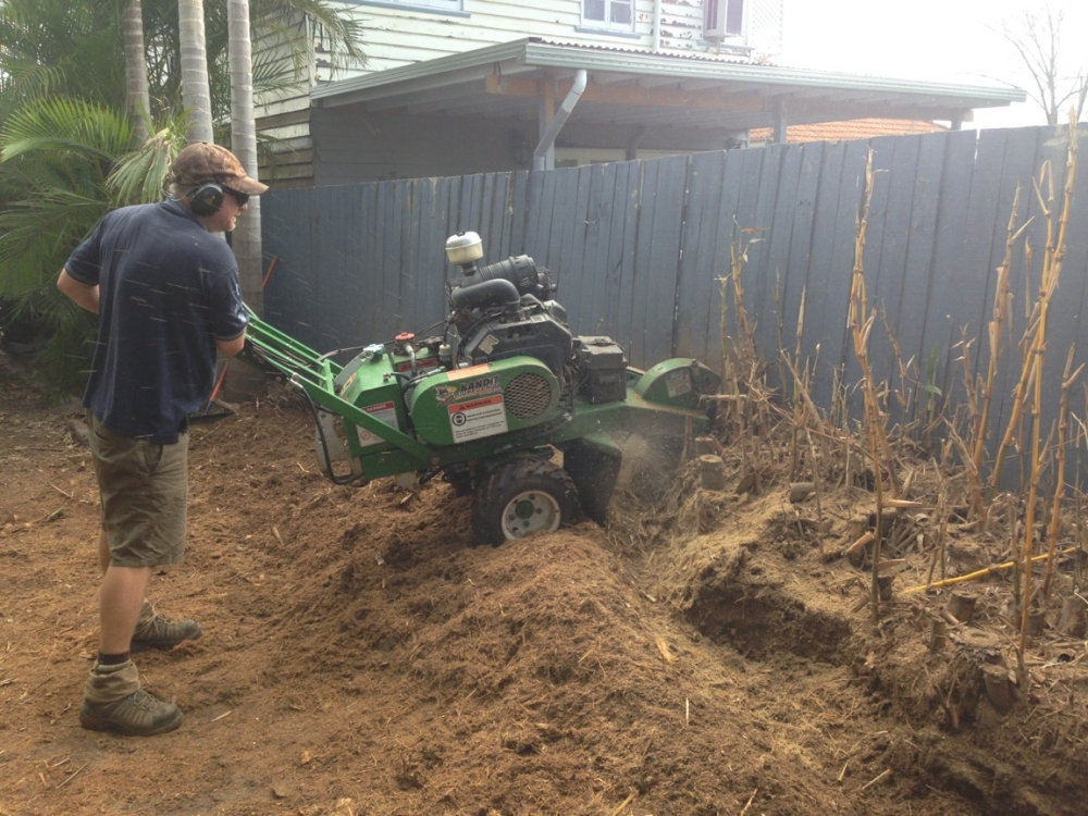 Bamboo Removal Brisbane