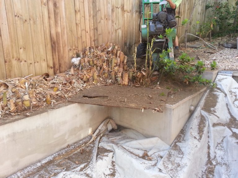 Bamboo Removal Brisbane
