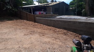 bamboo removal near me