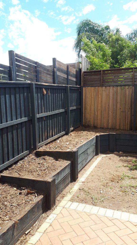 Bamboo Removal near me