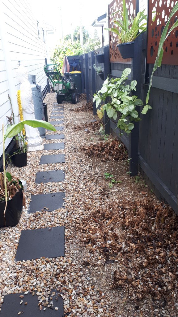 Bamboo cut and poisioned ready for grinding