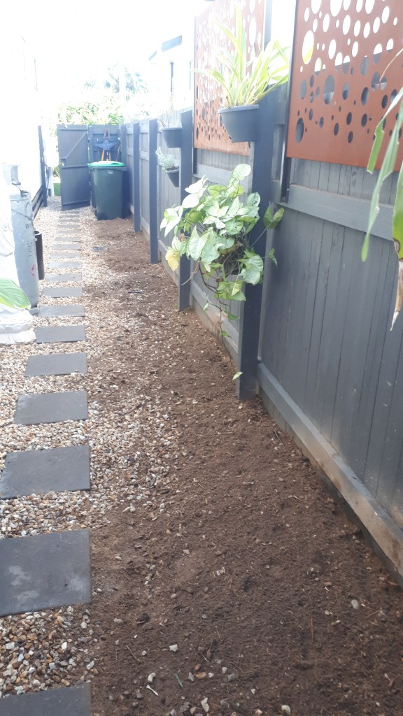 Bamboo removal Wynnum is completed